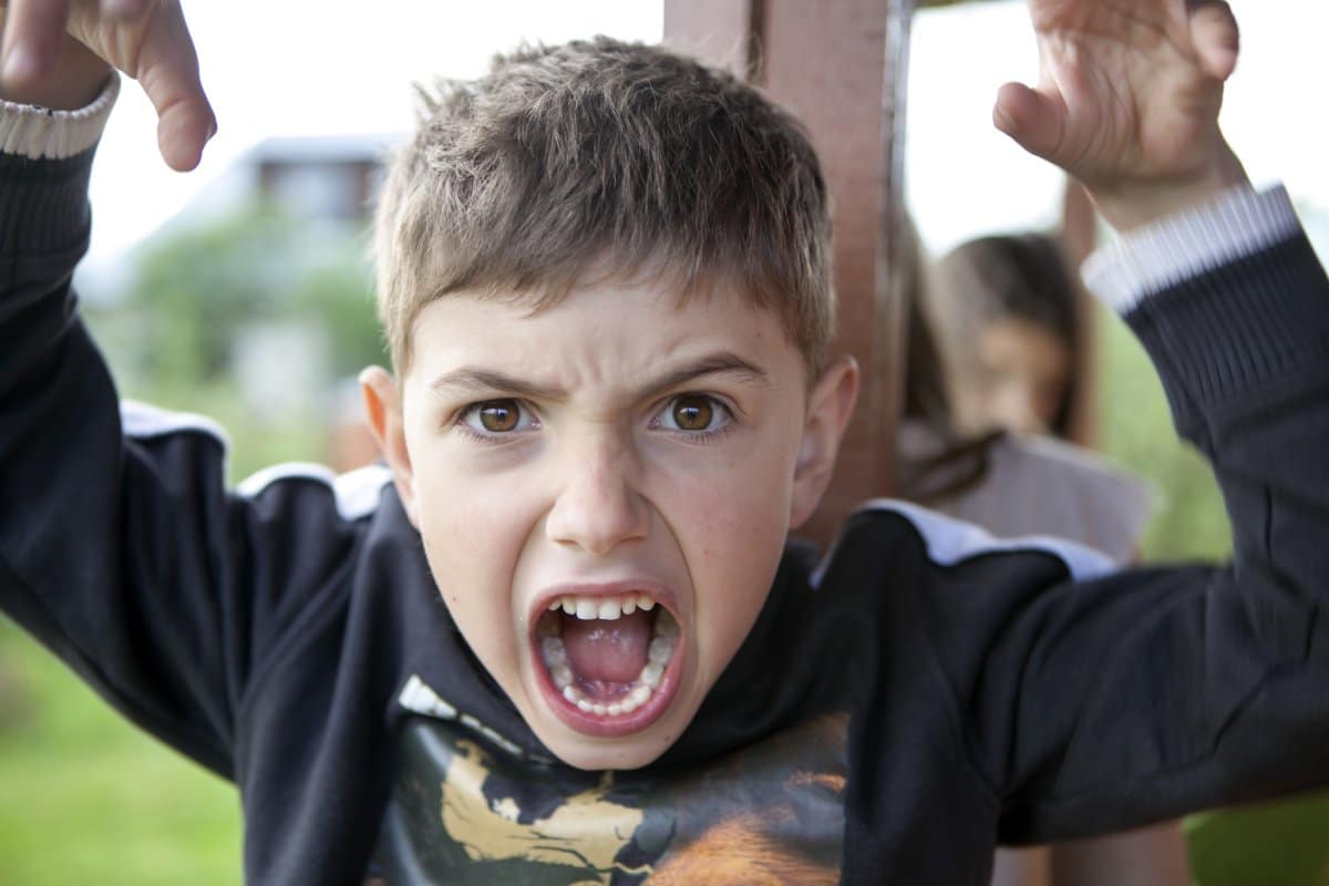 Childhood Aggression Linked to Higher Adult Earnings: Bullies Cash In
